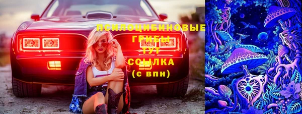 СК Алзамай
