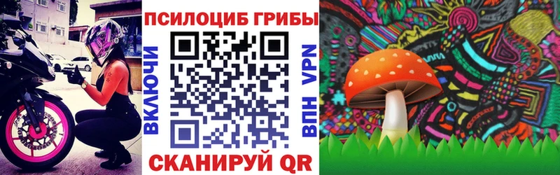 MEGA ONION  Борзя  Галлюциногенные грибы Magic Shrooms  купить  