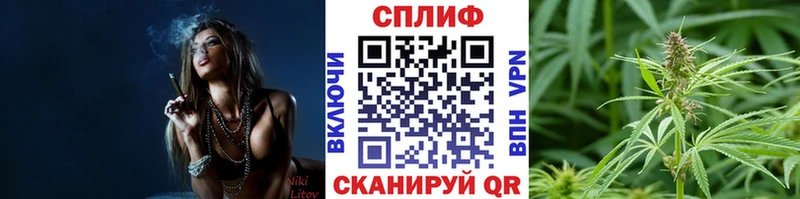 blacksprut маркетплейс  Борзя  Марихуана ГИДРОПОН 